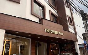 The Divine Oak